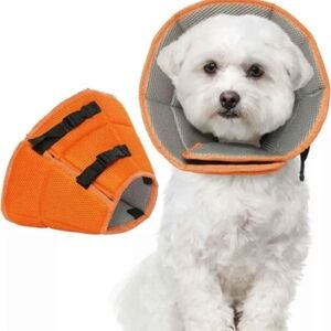 Orange Pet Recovery Collar SMALL NEW